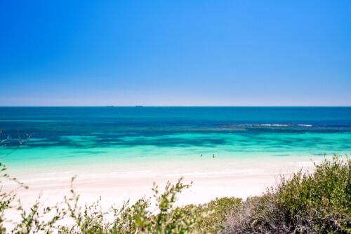 Best Dog Beach Perth, Looking for the best dog beaches in Perth? We&#8217;ve got you